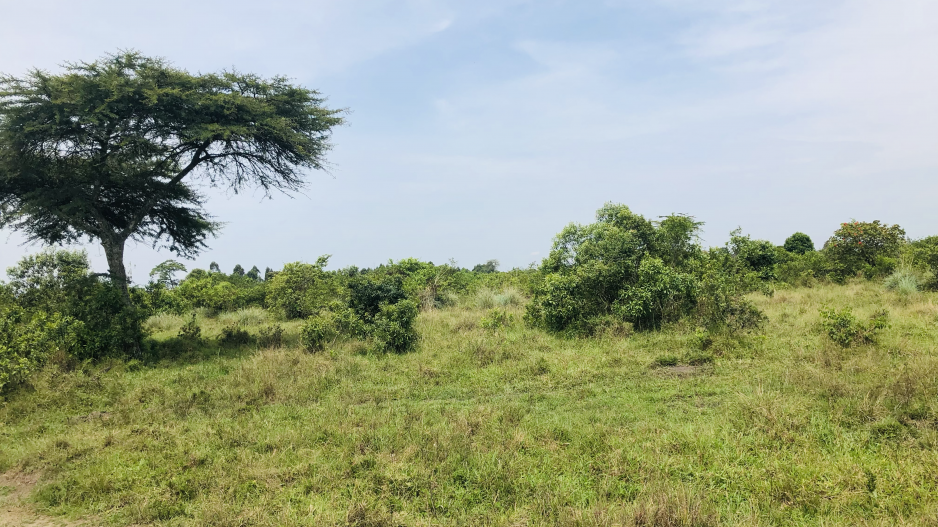 50acre lease