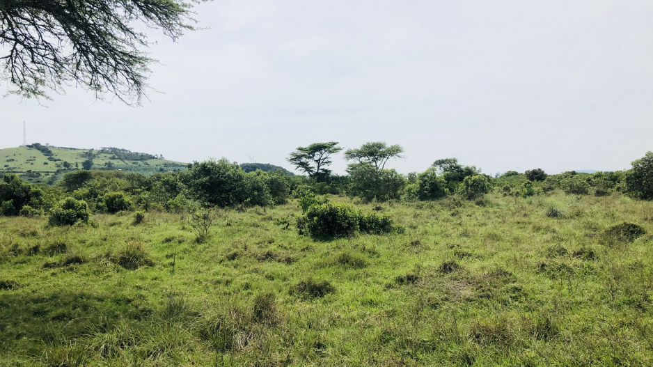 50acre lease