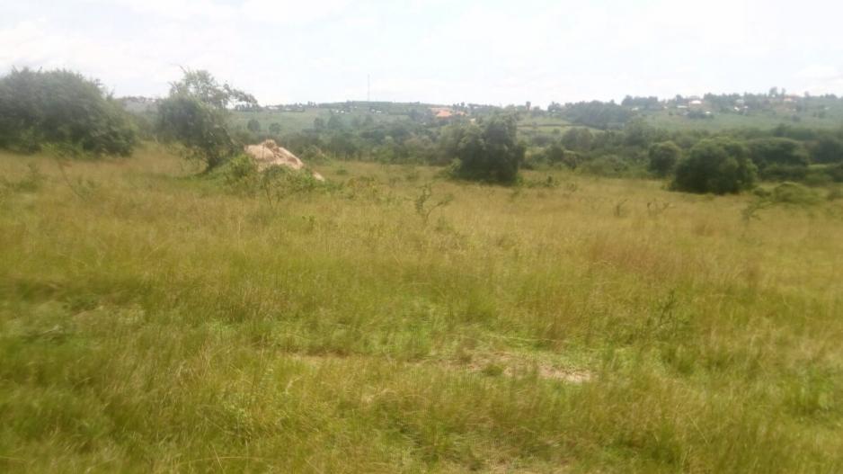 70_acres_rwemirabyo