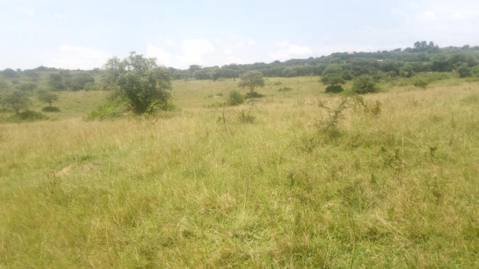 70_acres_rwemirabyo