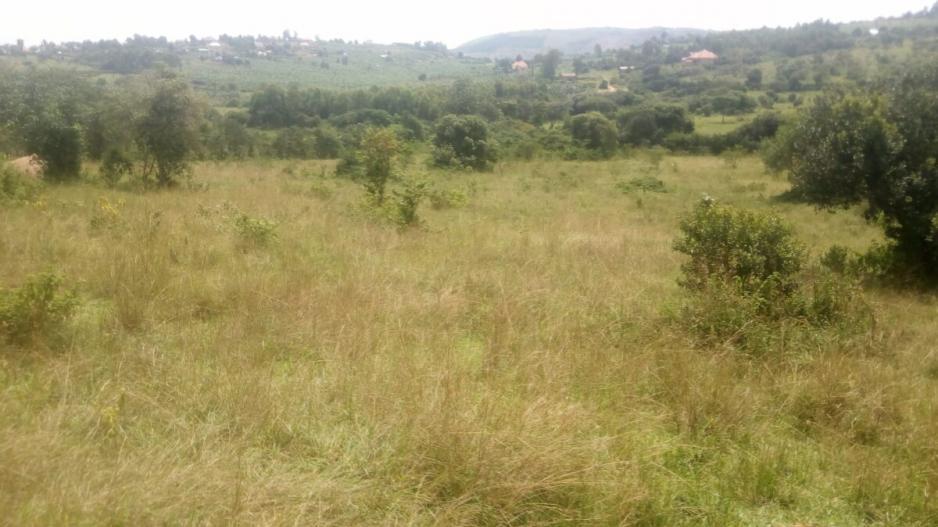 70_acres_rwemirabyo