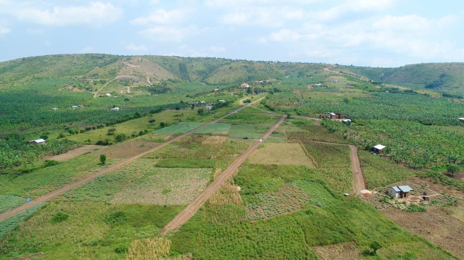 katengyeto