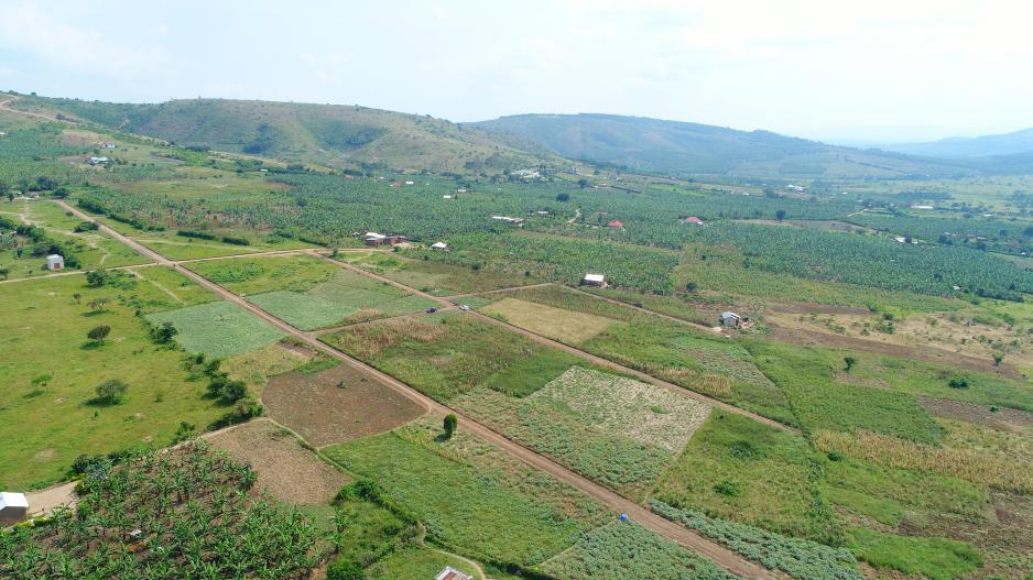 katengyeto