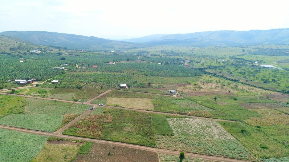 katengyeto