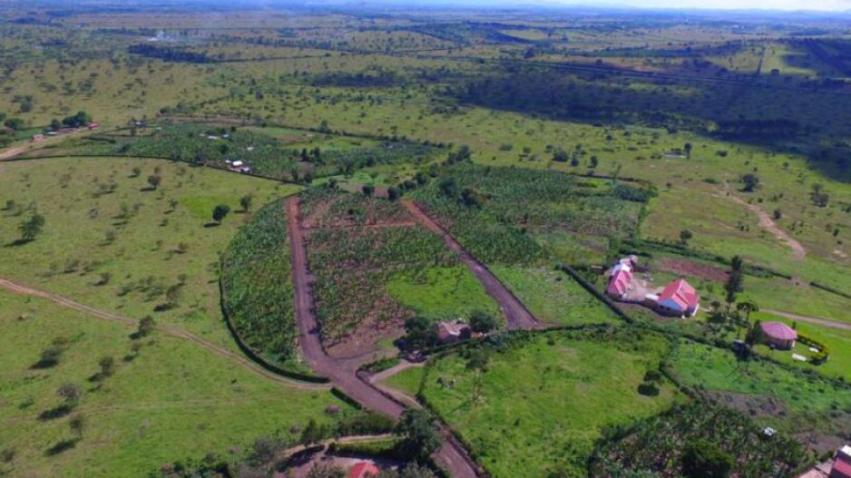 Nyakisharara Estate