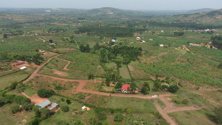 nyamabare