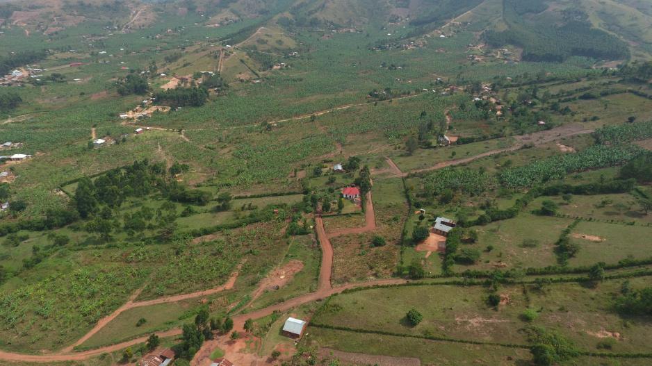nyamabare
