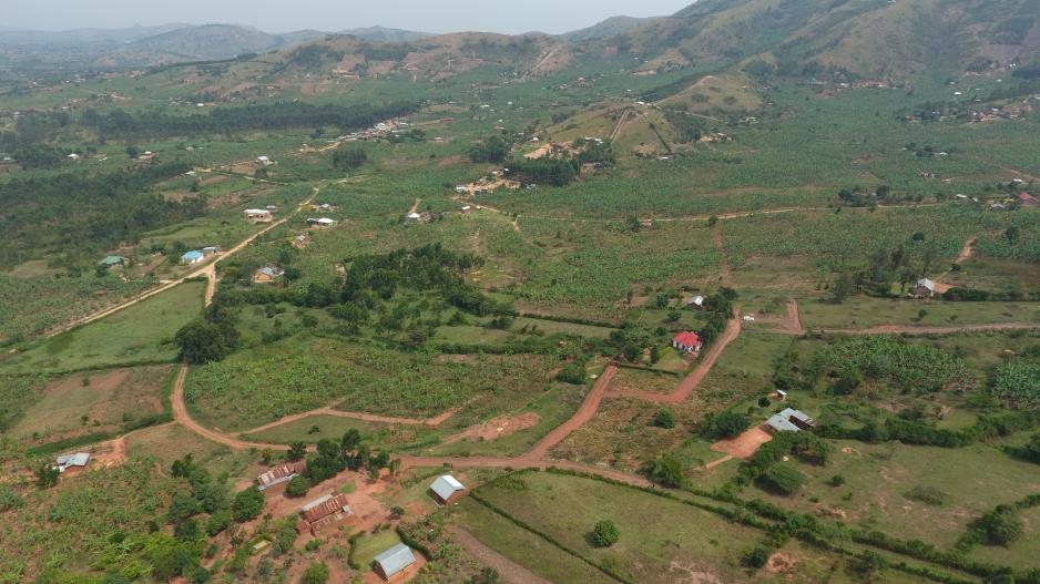 nyamabare