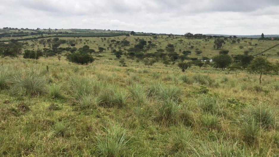 ruhengyere_acres