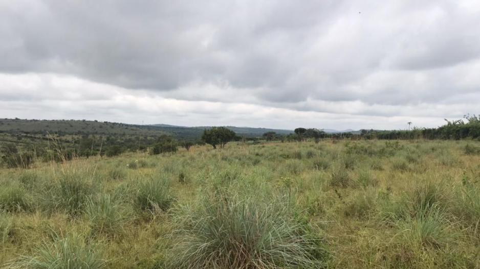 ruhengyere_acres