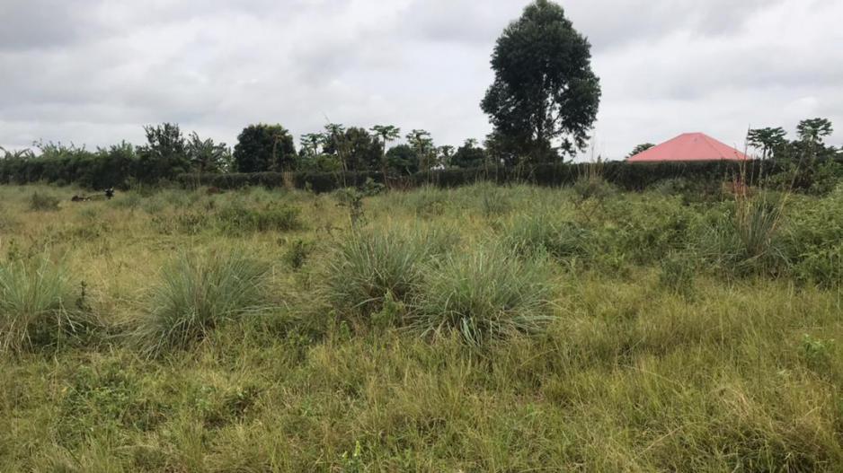 ruhengyere_acres