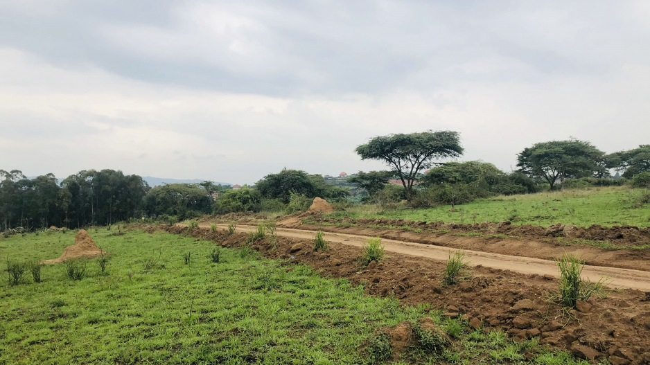 rwebishuri plot