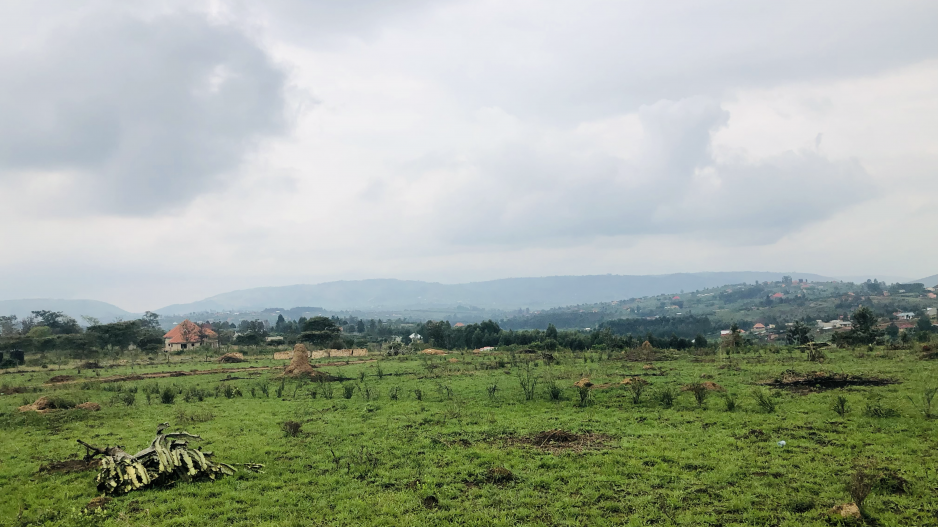 rwebishuri plot