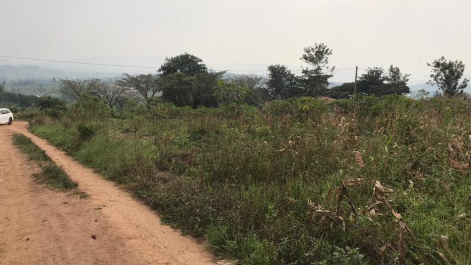 rwebishuri_plots