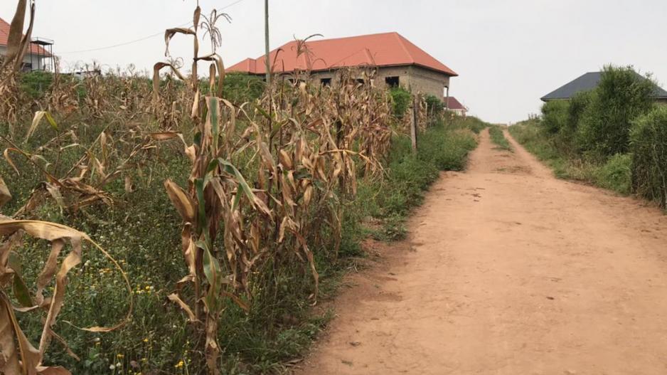 rwebishuri_plots