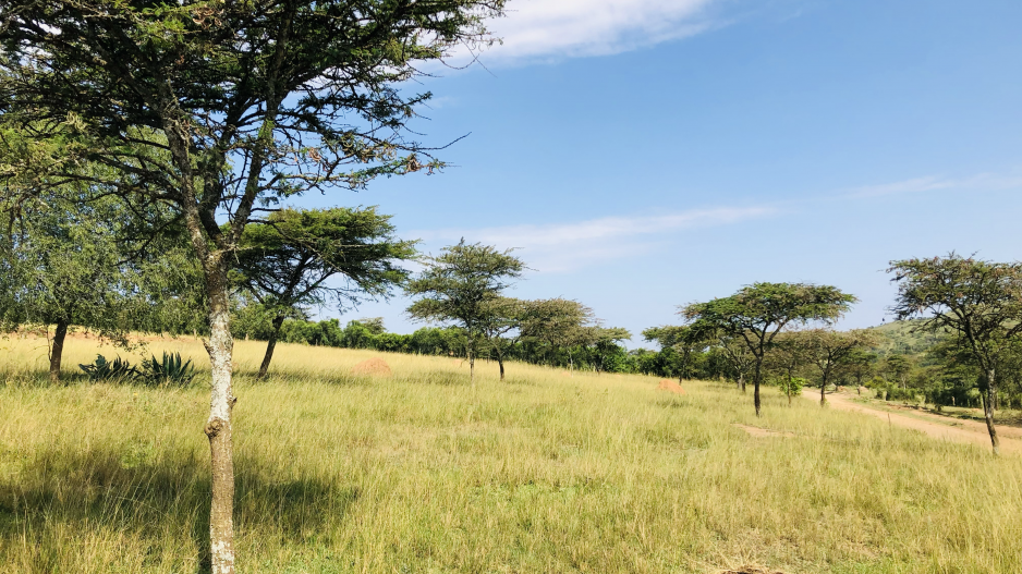 rwenjeru estate1