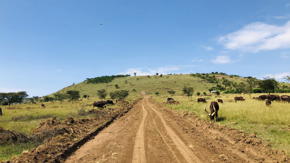 rwenjeru estate