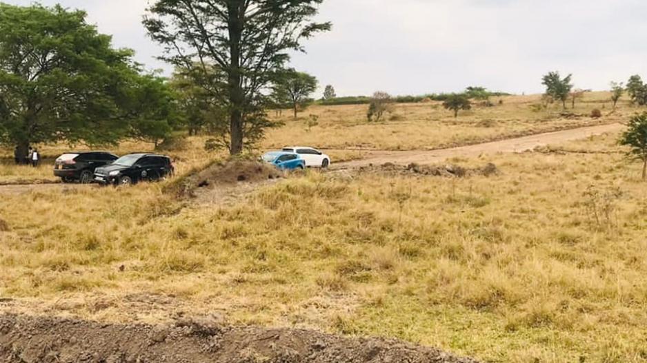 karokarungi