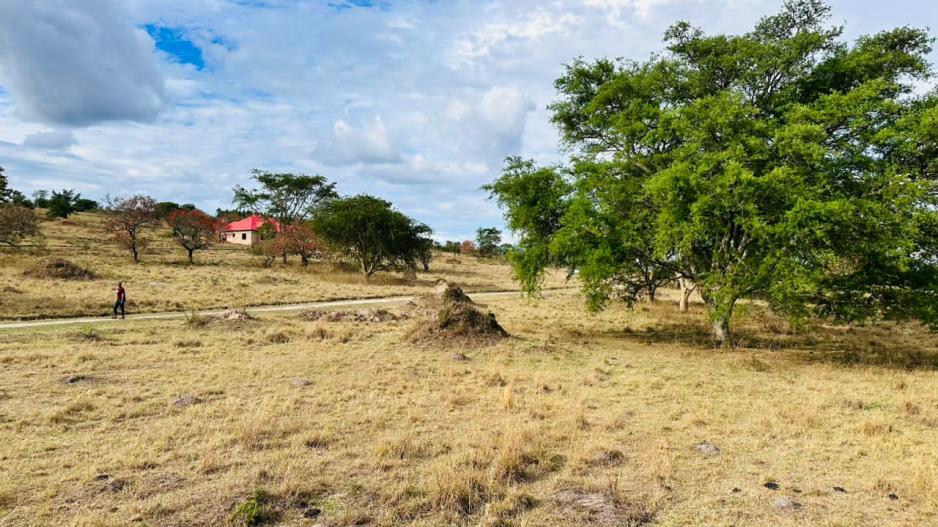 karokarungi estate1
